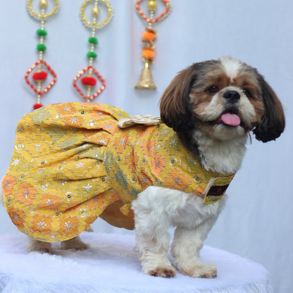 Yellow Patola Festive Dress | For Dogs | Pawgy Pets
