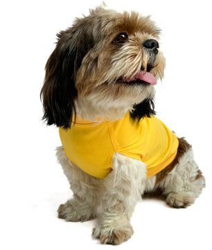 Pawgy Pets T-shirt Lick Fetch Treat Repeat Yellow for Dogs & Cats