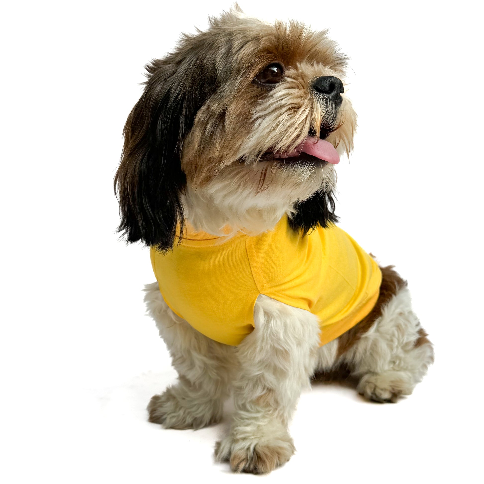 Pawgy Pets T-shirt Lick Fetch Treat Repeat Yellow for Dogs & Cats