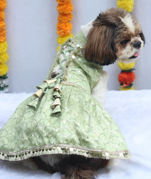 Pawgy Pets Shahi Lehenga- Dress Pastel Green for Dogs & Cats