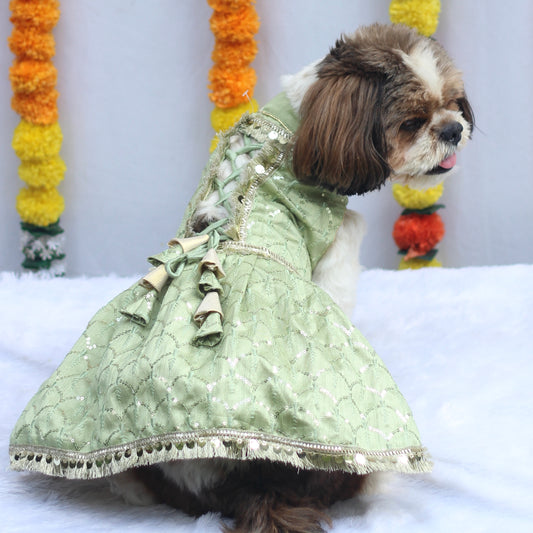 Pawgy Pets Shahi Lehenga- Dress Pastel Green for Dogs & Cats