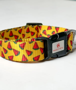 Pawgy Pets Collar Watermelon yellow for dogs and cats