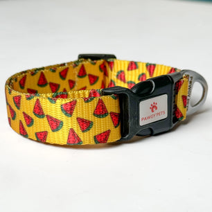 Pawgy Pets Collar Watermelon yellow for dogs and cats