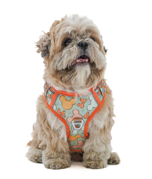 Pawgy Pets Padded Harness Mickey