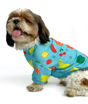 Pawgy Pets T-shirt Fruitylicious Blue for Dogs & Cats
