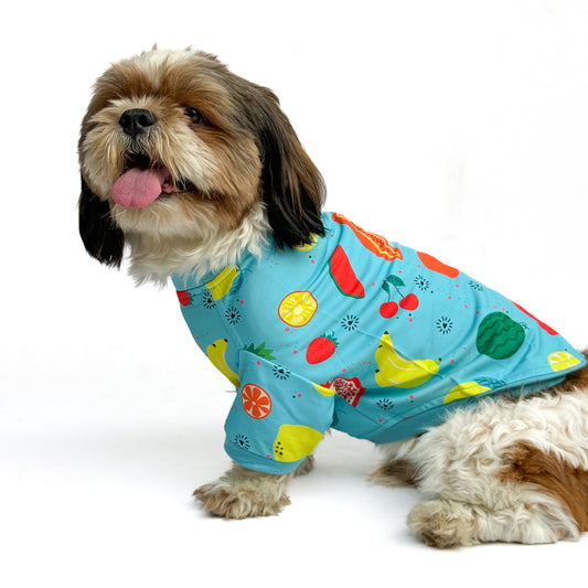 Pawgy Pets T-shirt Fruitylicious Blue for Dogs & Cats