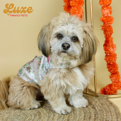 White Floral Sherwani | Luxe Collection | Pawgy Pets