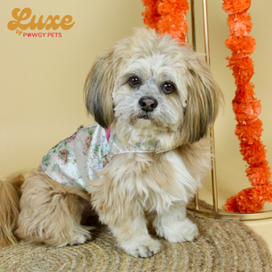 Luxe by Pawgy Pets Floral Sherwani White