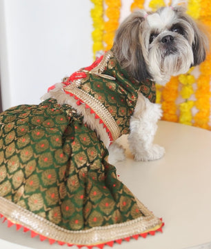 Pawgy Pets Green Brocade Lehenga for Dogs & Cats