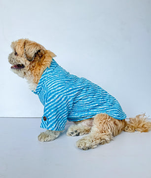 Pawgy Pets Lehriya Kurta: Blue for Dogs