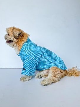 Pawgy Pets Lehriya Kurta: Blue for Dogs