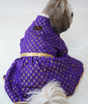 Pawgy Pets Occasion wear Dress Purple for Dogs