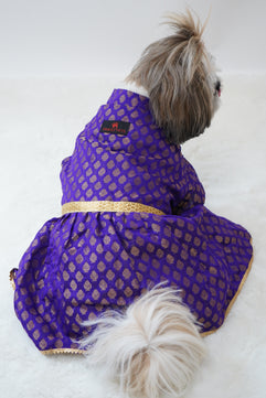 Pawgy Pets Occasion wear Dress Purple for Dogs