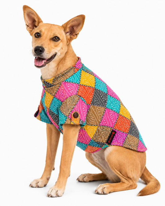 Pawgy Pets Multi Bandani kurta for Dogs