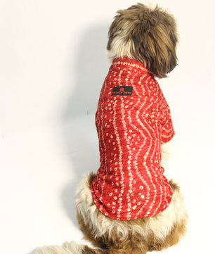 Pawgy Pets Red Bandani kurta for Dogs