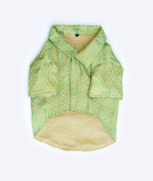 Pawgy Pets Occasion wear Shirt Pista green for Dogs