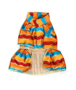 Pawgy Pets Multi Stripe Dress for Dogs
