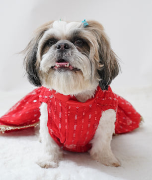 Pawgy Pets Red Net Lehenga for Dogs & Cats