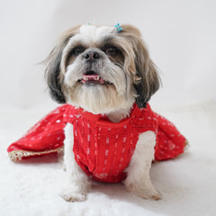 Pawgy Pets Red Net Lehenga for Dogs & Cats