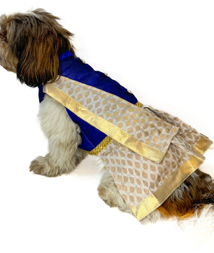 South Indian Traditional Kasavu Kurta-Mundu with dupatta Royal Blue for Dogs