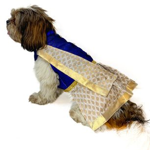 South Indian Traditional Kasavu Kurta-Mundu with dupatta Royal Blue for Dogs