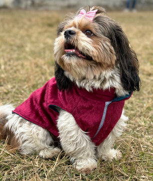 Pawgy Pets Reversible Sando: Plaid with maroon for Dogs & Cats