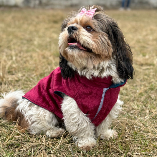 Pawgy Pets Reversible Sando: Plaid with maroon for Dogs & Cats