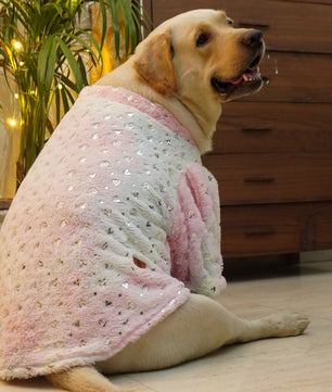 Pawgy Pets Fur sweater: Heart Pastel Rainbow for Dogs & Cats