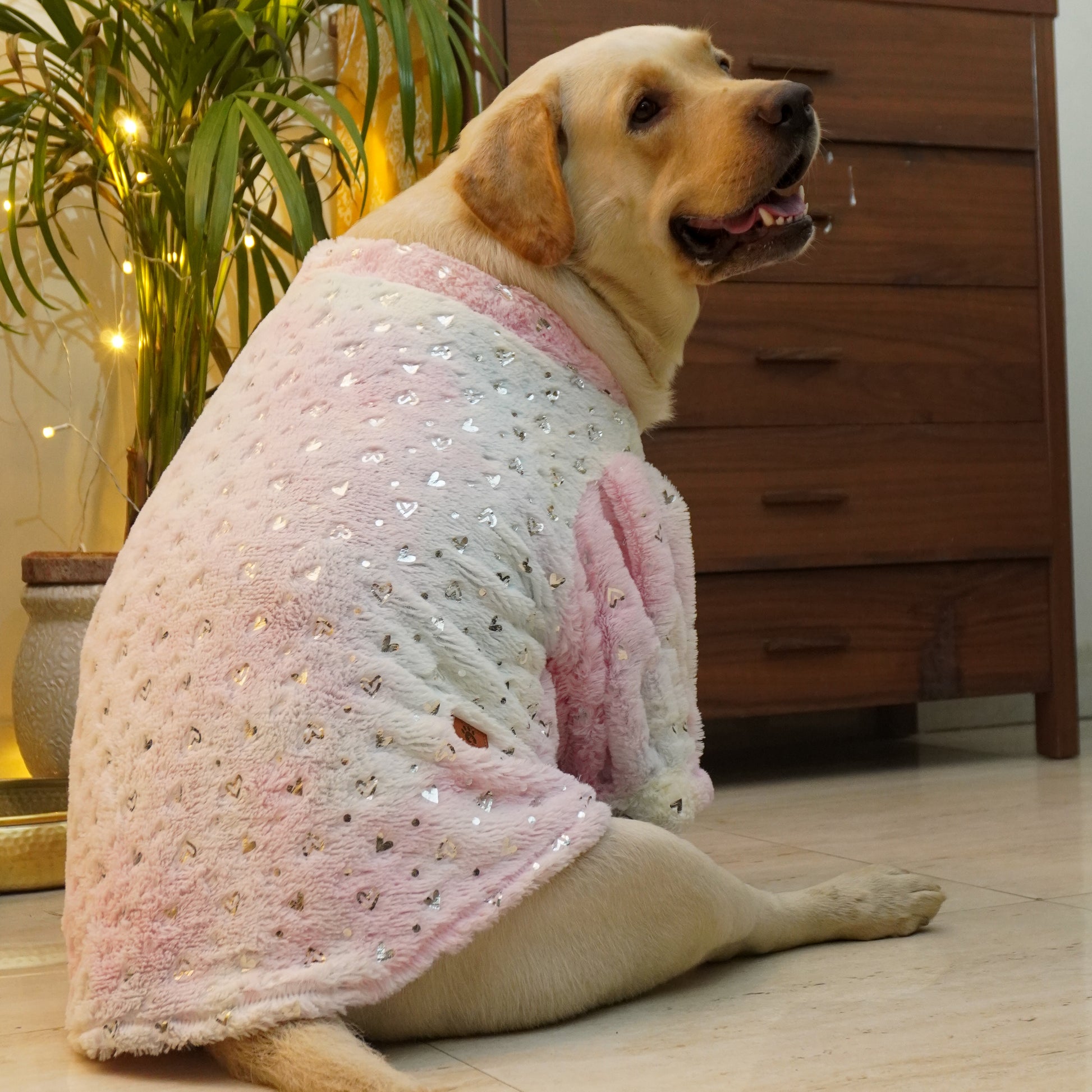 Pawgy Pets Fur sweater: Heart Pastel Rainbow for Dogs & Cats