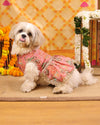 Peach Dress | Luxe Collection | Pawgy Pets