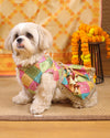 Multi Bandani Dress | Luxe Collection | Pawgy Pets
