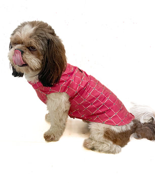Pawgy Pets Pink Check Festive Shirt for Dogs