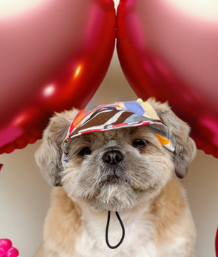 Pawgy Pets Dog Cap: Multi colour for Dog & Cats