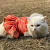 Peach Silk Dress | For Cats | Pawgy Pets
