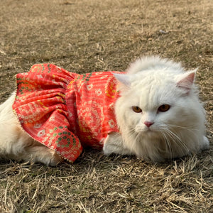 Peach Silk Dress | For Cats | Pawgy Pets