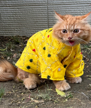 Pawgy Pets Festive shirt Yellow (Cat)