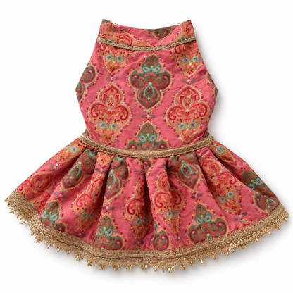 Peach Dress | Luxe Collection | Pawgy Pets