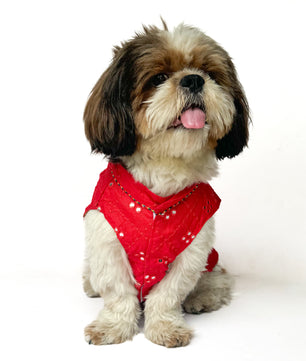 Pawgy Pets Festive Shirt Red Mirror Work for Dogs