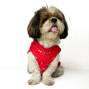 Pawgy Pets Festive Shirt Red Mirror Work for Dogs