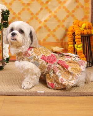 Off-White Floral Dress | Luxe Collection | Pawgy Pets