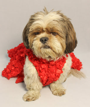 Pawgy Pets Red Rosy Tutu Dress for Dogs and Cats
