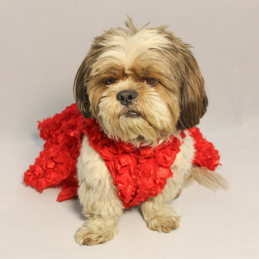 Pawgy Pets Red Rosy Tutu Dress for Dogs and Cats