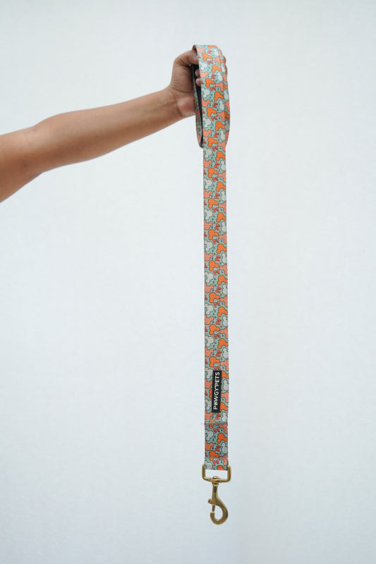Pawgy Pets Premium Leash: Mickey Pastel Green for Dogs and Cats
