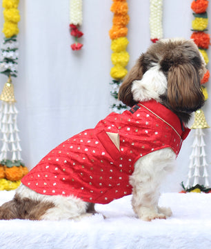 Pawgy Pets Red Shahi Kurta for Dogs