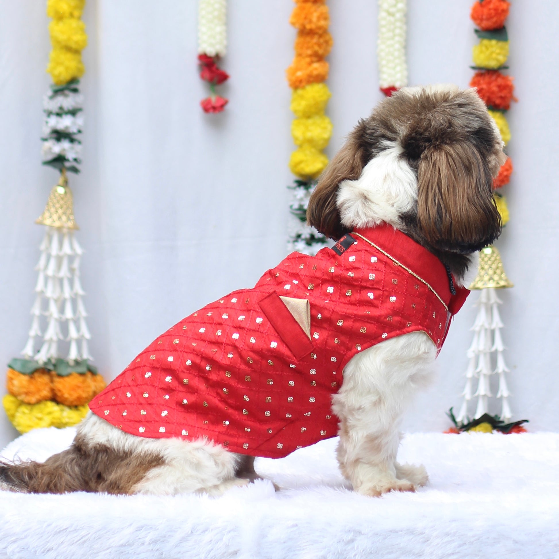 Pawgy Pets Red Shahi Kurta for Dogs