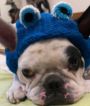Pawgy Pets Evil Eye cap for Dogs