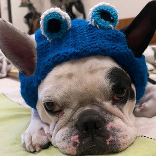 Pawgy Pets Evil Eye cap for Dogs