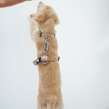 Mickey Pastel Green | H-Harness for Dogs and Cats | Pawgy Pets