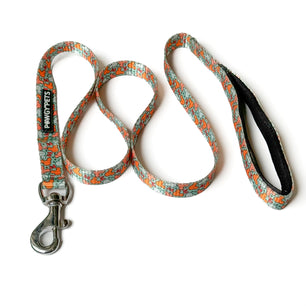 Pawgy Pets Premium Leash: Mickey Pastel Green for Dogs and Cats