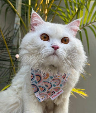 Pawgy Pets Casual Bandana: Rainbow off-white for Cats and Dogs